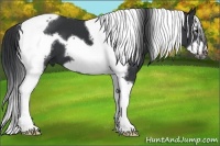 Horse Color:Black Splash Tobiano Frame 