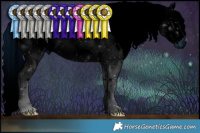 Horse Color:ERROR: UNKNOWN ANOMALY