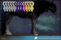 Horse Color:ERROR: UNKNOWN ANOMALY