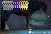 Horse Color:ERROR: UNKNOWN ANOMALY