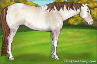 Horse Color:White Spotted Smoky Blue Onyx Ice Pearl Sabino