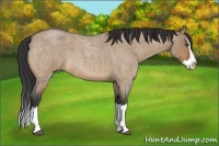Horse Color:Bay Roan Dun Splash