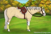 Horse Color:Silver Bay Dun Splash 