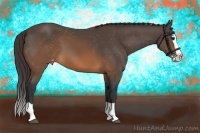 Horse Color:Brown Splash Varnish 