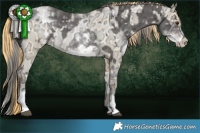 Horse Color:White Spotted Liver Chestnut Ice Mushroom Tobiano  and Buckskin Ice Roan Pearl Mushroom 