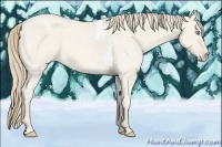 Horse Color:Smoky Creme Roan Dun Tobiano  Brindle