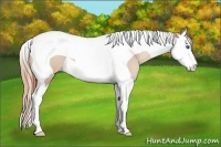 Horse Color:Smoky Black Pearl Splash Tobiano 