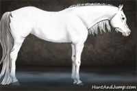 Horse Color:Liver Chestnut Splash Frame Snowcap