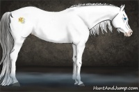 Horse Color:Liver Red Onyx Sabino Splash Appaloosa