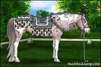 Horse Color:Nacre White Spotted Bay Splash Appaloosa