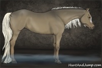 Horse Color:Liver Red Dun 