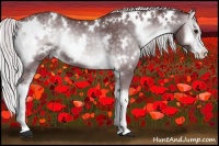 Horse Color:White Spotted Chocolate Silver Blue Onyx Chinchilla Sabino