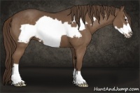 Horse Color:Liver Chestnut Frame 