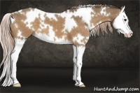 Horse Color:White Spotted Chocolate Palomino Splash