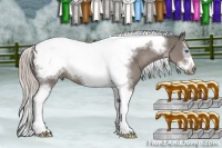 Horse Color:White Spotted Silver Black Splash Tobiano Frame Rabicano