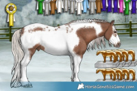 Horse Color:White Spotted Silver Black Splash Tobiano Frame Rabicano