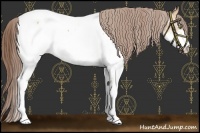 Horse Color:White Spotted Amber Champagne Near Fewspot 