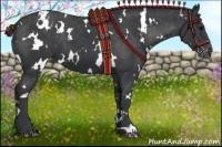 Horse Color:White Spotted Black Varnish 