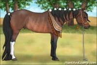 Horse Color:Bay Roan Rabicano