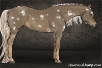 Horse Color:White Spotted Chocolate Palomino 