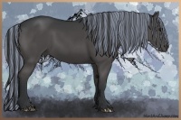 Horse Color:Painted Black 