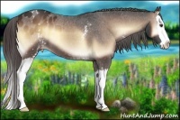 Horse Color:White Spotted Liver Red Onyx Splash Varnish 