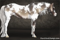 Horse Color:White Spotted Silver Blue Onyx 