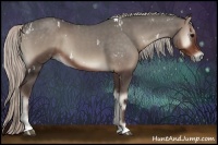 Horse Color:White Spotted Silver Blue Onyx  and Silver Blue Onyx Sabino