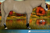 Horse Color:Watercolor Liver Chestnut Sabino Rabicano 