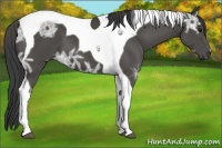 Horse Color:Smoky Black Ice Tobiano 