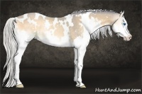 Horse Color:Watercolor White Spotted Silver Buckskin Onyx Sabino Splash Rabicano