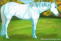 Horse Color:Thunderstruck Chestnut Ice Sabino Splash