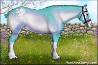 Horse Color:Watercolor Brown Onyx Appaloosa Rabicano 