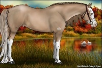 Horse Color:Liver Chestnut Pearl Sabino Splash 