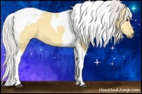 Horse Color:Chocolate Silver Buckskin Dun Tobiano 