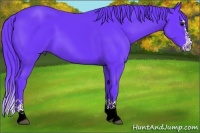 Horse Color:Watercolor Black Splash 