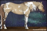Horse Color:White Spotted Liver Red Dun 