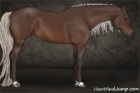 Horse Color:Silver Bay 