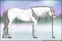 Horse Color:Black Appaloosa Rabicano 