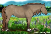Horse Color:Liver Red Dun Rabicano