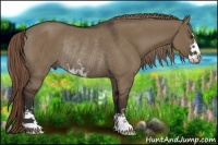 Horse Color:Liver Red Dun Sabino Rabicano