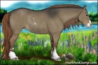 Horse Color:Liver Red Dun Sabino Rabicano