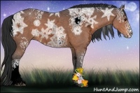 Horse Color:White Spotted Bay Ice Sabino