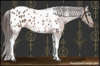 Horse Color:Bay Roan Tobiano Blanket 