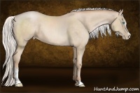 Horse Color:Silver Buckskin Pearl Sabino 