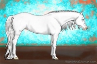 Horse Color:Silver Perlino Roan Appaloosa