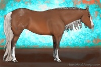 Horse Color:White Spotted Silver Bay Splash
