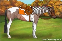 Horse Color:Bay Roan Tobiano