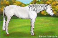 Horse Color:Gray Chestnut 
