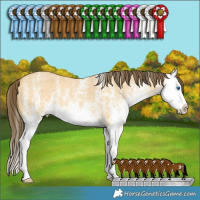 Horse Color:White Spotted Amber Cream Champagne Dun Splash 